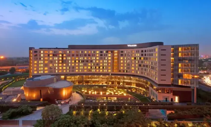 Untitled design (45).webp